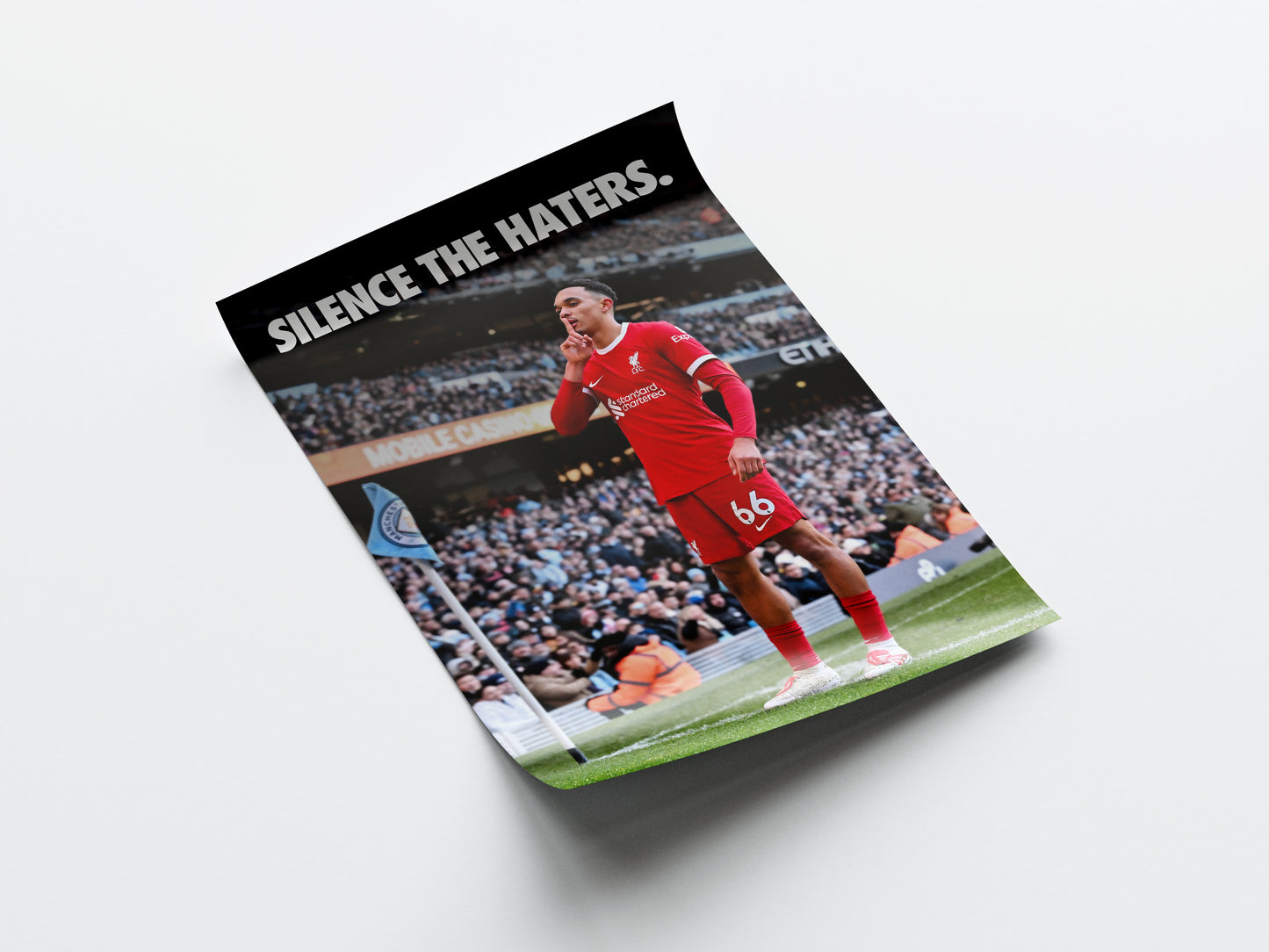 Trent 'Silence The Haters' Poster