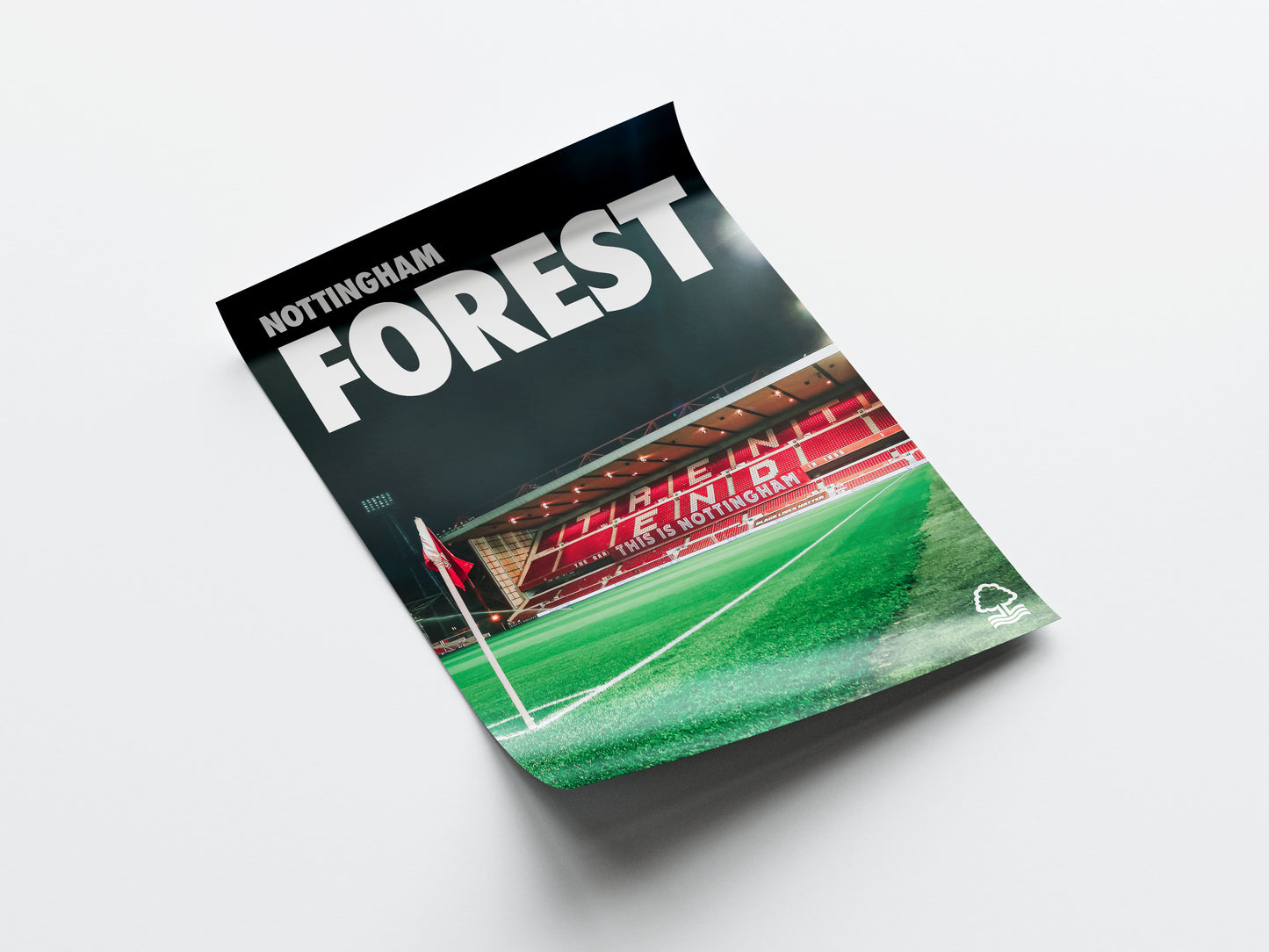 Nottingham Forest City Ground Poster