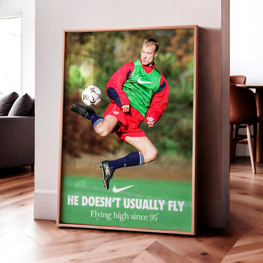 Dennis Bergkamp 'Fly' Poster