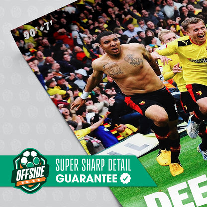 Troy Deeney Poster