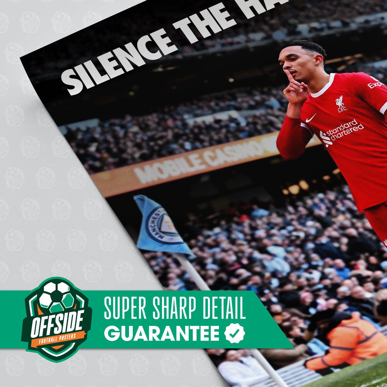 Trent 'Silence The Haters' Poster